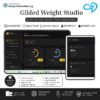 Digital Weight Loss Planner Main Dashboard with Streak Tracker